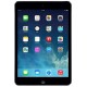 IPAD MINI 16GB GRIS ESPACIAL 4G